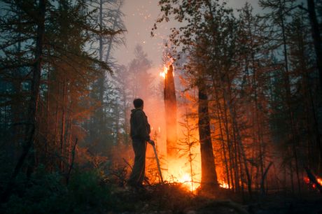 Rusija šumski požar u šumi, evakuacija, Russia Forest Fires