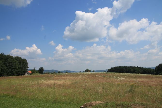 Improvizovani aerodrom u Pranjanima, Halijard