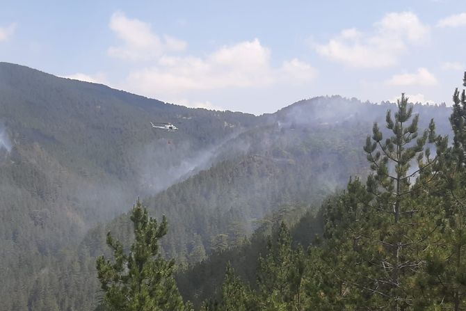 Požar, Mokra Gora