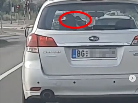 Vozač Vozač
