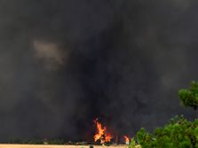 Atina, pruga požar, Greece Wildfire