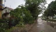 Oluja u Srbiji uništila preko 20 hektara šume: Vojvodinašume objavile stravičan podatak! I nije konačan
