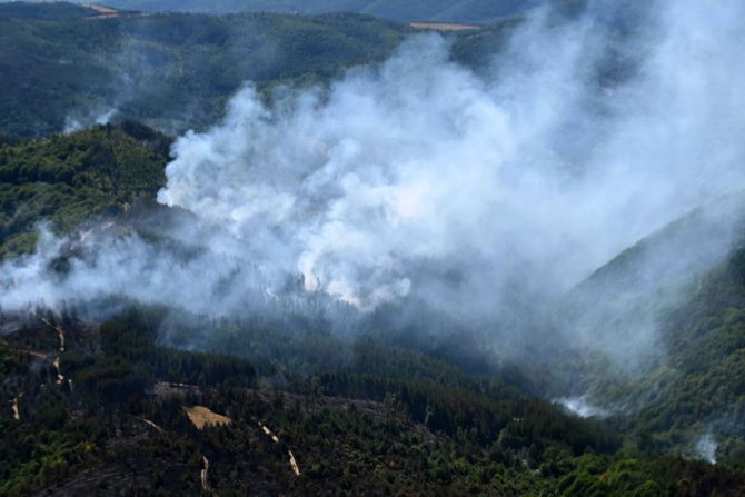 Srbija se borila sa više od 850 požara na otvorenom za samo dve nedelje: Slede oštrije kazne - Vimarsana News