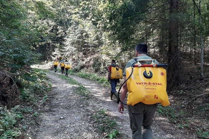 Požar iz Republike Srpske opasnost za Nacionalni park Tara: Gore žile pod zemljom, ne pomažu avioni - Vimarsana News