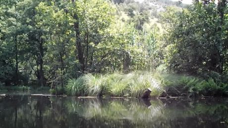 Semeteško jezero, Kopaonik, Srbija