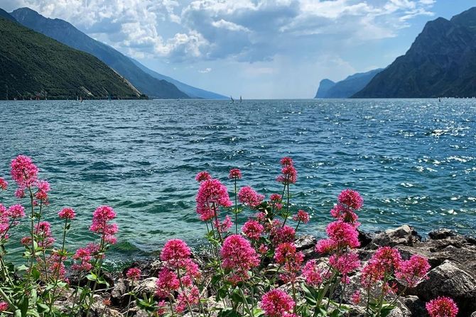 Jezero Garda Jezero Garda