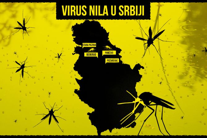 Otkrivamo lokacije na kojima su zaraženi komarci Zapadnim Nilom: Ima ih 4 u Srbiji - Vimarsana News