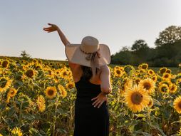 Horoskop, devojka, leto, sloboda, zalazak sunca, suncokreti