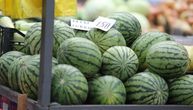 Nedeljkovi su agronomi po struci, prodaju "slatku malu iz Kaća": Na tezgi im se smejali zbog veličine lubenice
