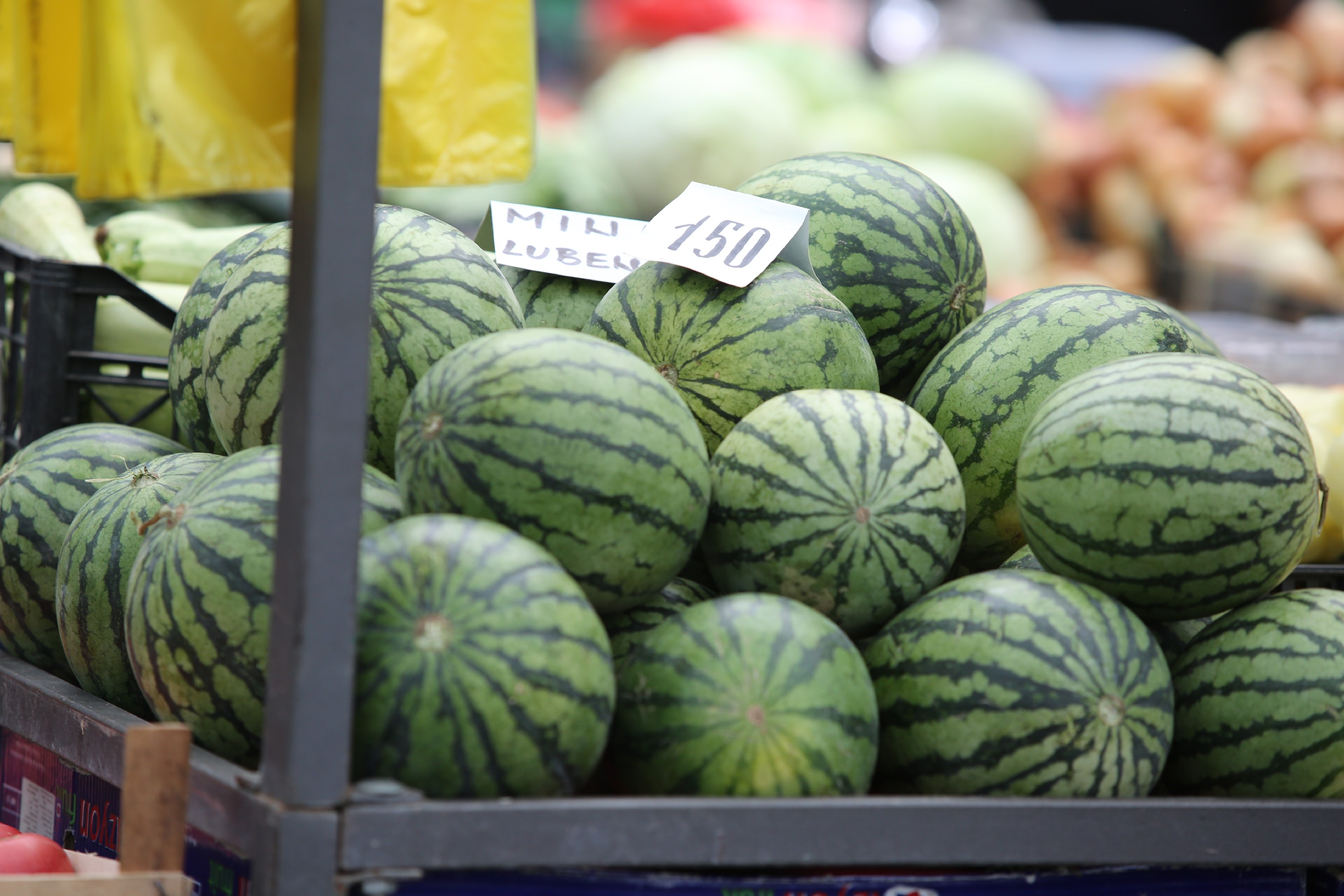 Nedeljkovi su agronomi po struci, prodaju "slatku malu iz Kaća": Na tezgi im se smejali zbog veličine lubenice