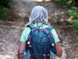 Planinarenje planine