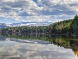 Vlasina, Vlasinsko jezero