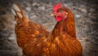 Turčin tražio nestale kokoške, pa otkrio jedno od najneverovatnijih svetskih čuda