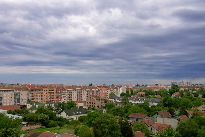 Detelinara, Novi Sad