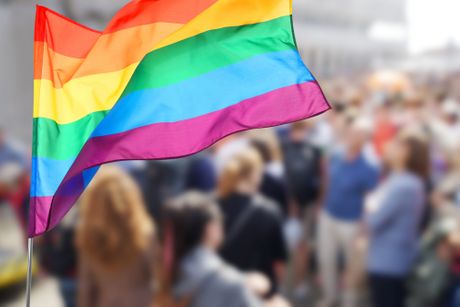 LGBT zastava gej parada