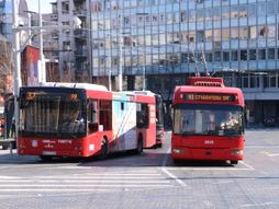 Autobus 37 trolejbus 41