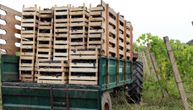 U nesreći u vinogradu poginuo berač grožđa: Povređeno 9 osoba, evo šta se dogodilo
