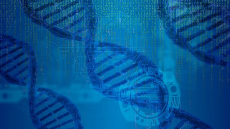 DNK lanac, bioinformatika