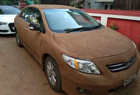 Toyota Corola premazana balegom Toyota Corola premazana balegom