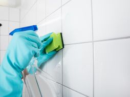 Čišćenje ribanje pločice