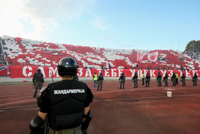 Navijači Crvene zvezde, Delije