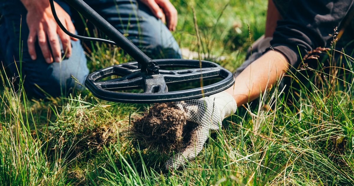 They went to a meadow, turned on a METAL DETECTOR, and found incredible treasure: They soon became MILLIONAIRES!
