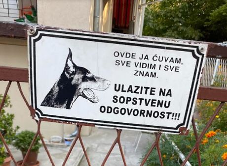 Pas čuvar, dvorište Pas čuvar, dvorište