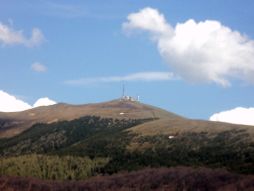 Mladić lomio sve što je stigao Besna kobila repetitor