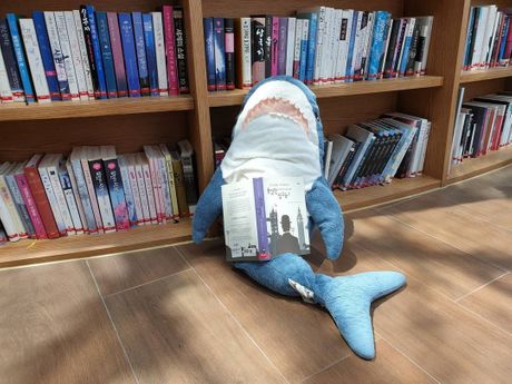 Ikea ajkula sharks in taiwan