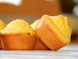 Proja projice mafini