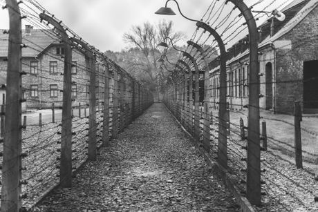 koncentracioni logor