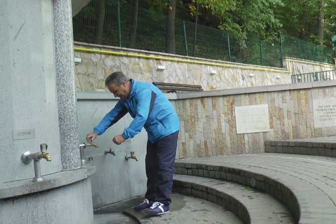 Atomska banja Gornja Trepča, Finci