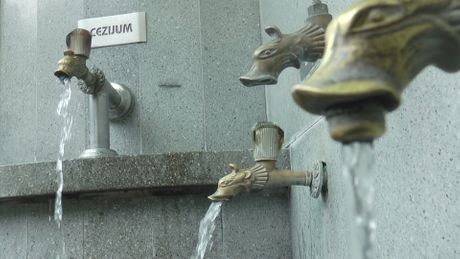 Atomska banja Gornja Trepča, Finci Atomska banja Gornja Trepča, Finci
