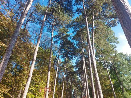 Bukovička banja, Aranđelovac