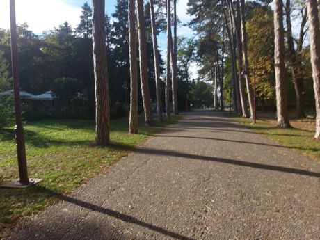 Bukovička banja, Aranđelovac