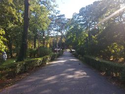 Bukovička banja, Aranđelovac