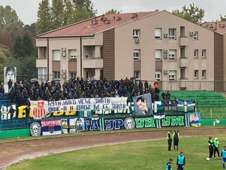 FK Zemun navijači, Taurunum Bojs