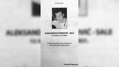 Aleksandar Stanković Sale