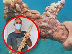 Krstaški mač Izrael