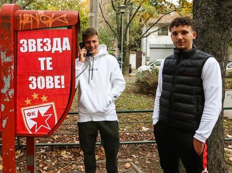 Njegoš Petrović, Strahinja Eraković, FK Crvena zvezda, superliga srbije