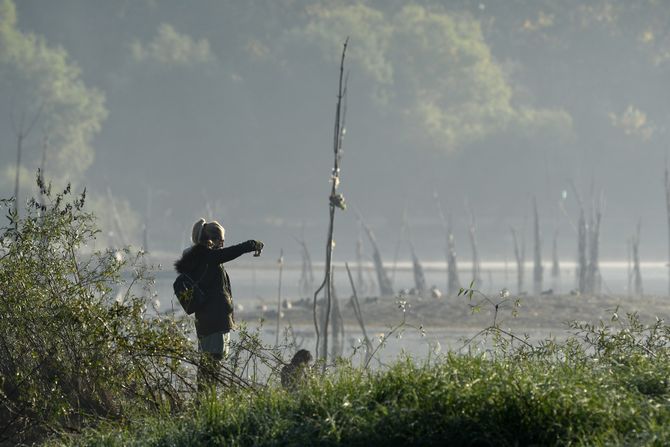 JESEN DUNAV IZMAGLICA Svitanje