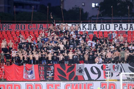 Firma 1989, Novi Sad, FK Vojvodina, navijači, Stadion Karađorđe