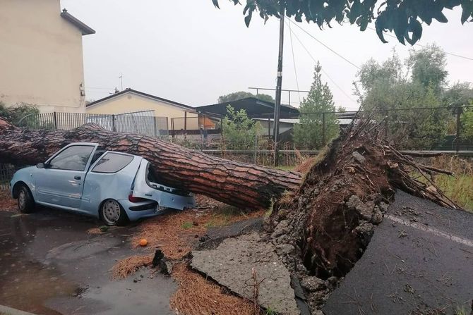 Italija nevreme oluja Italy Storm