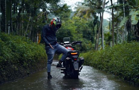 Motocikl, motor, potok, šuma