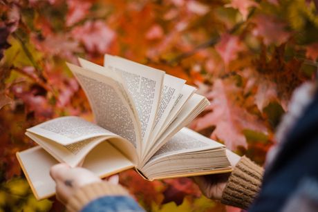 Knjiga, jesen, čitanje, horoskop