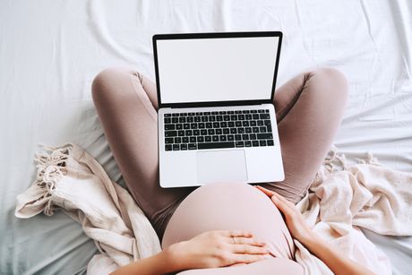 Trudnica trudnoća pregnancy laptop