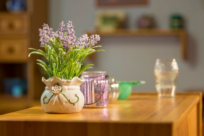 lavanda u saksiji cvece lavanda u saksiji cvece
