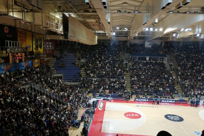 Grobari, Pionir, Partizan, Huventud