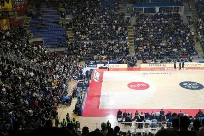 Grobari, Pionir, Partizan, Huventud