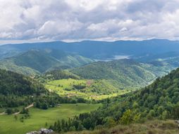 Tara Vidikovac Janjač Bajina Bašta Panorama Planina Pogled